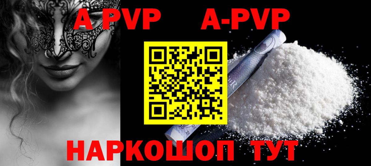 APVP СК Бердск