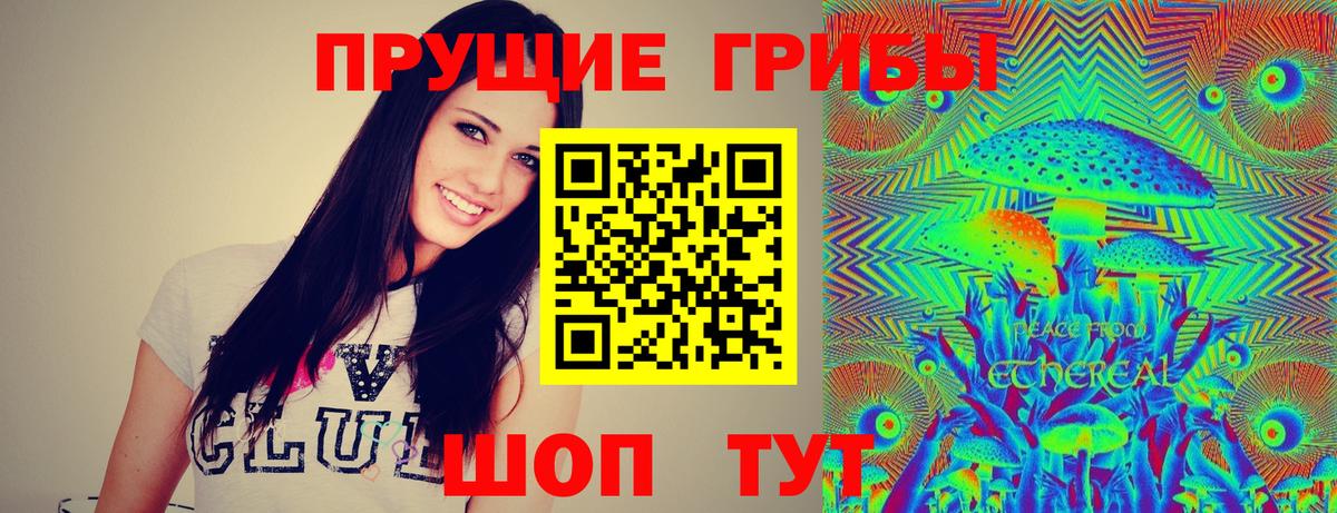Псилоцибиновые грибы мухоморы Бердск