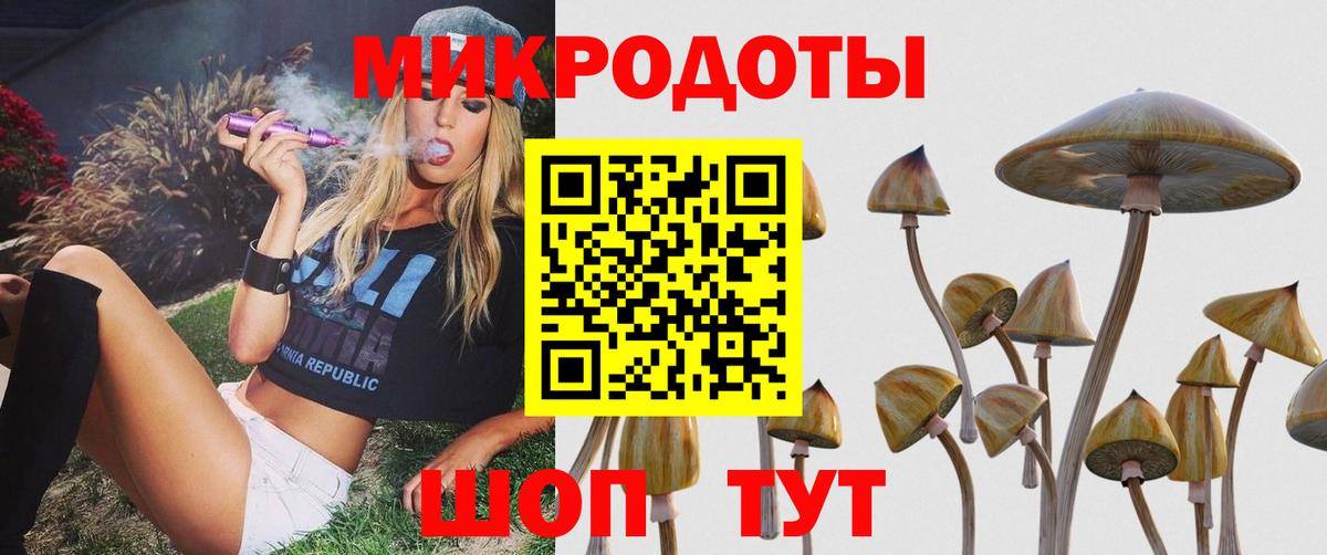 Псилоцибиновые грибы ЛСД  Вход с VPN  купить наркотики цена  Бердск 